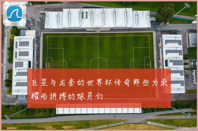 巨星与龙套的世界杯传奇那些为荣耀而拼搏的球员们
